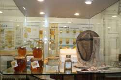Komentovaná výstava Včelařství v Podještědí - 115 let